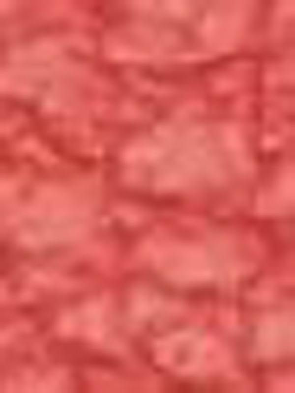 RED VERA PELLE.JPG