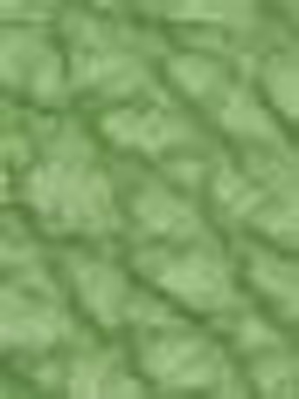 GREEN VERA PELLE.JPG