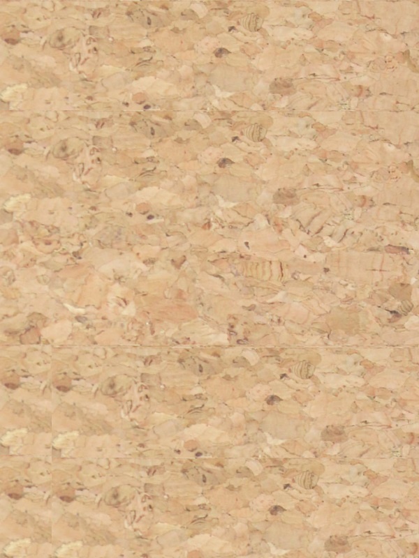 SUGHERO-COLORE.JPG
