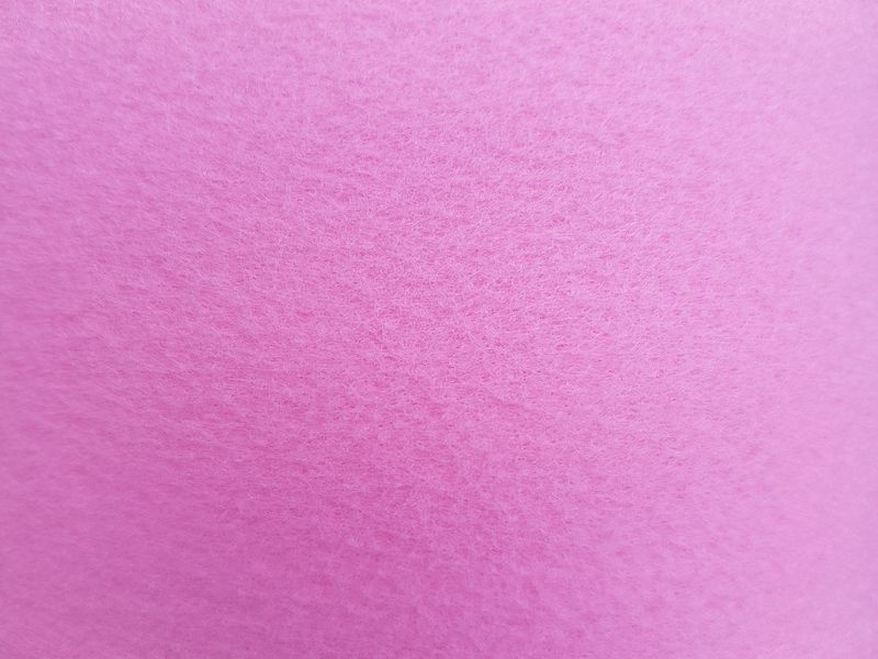 FELRIGROSA ROSA_800x600.jpg