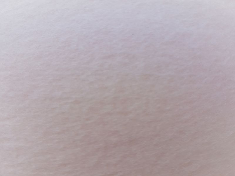 FELRIGPANNA PANNA_800x600.jpg